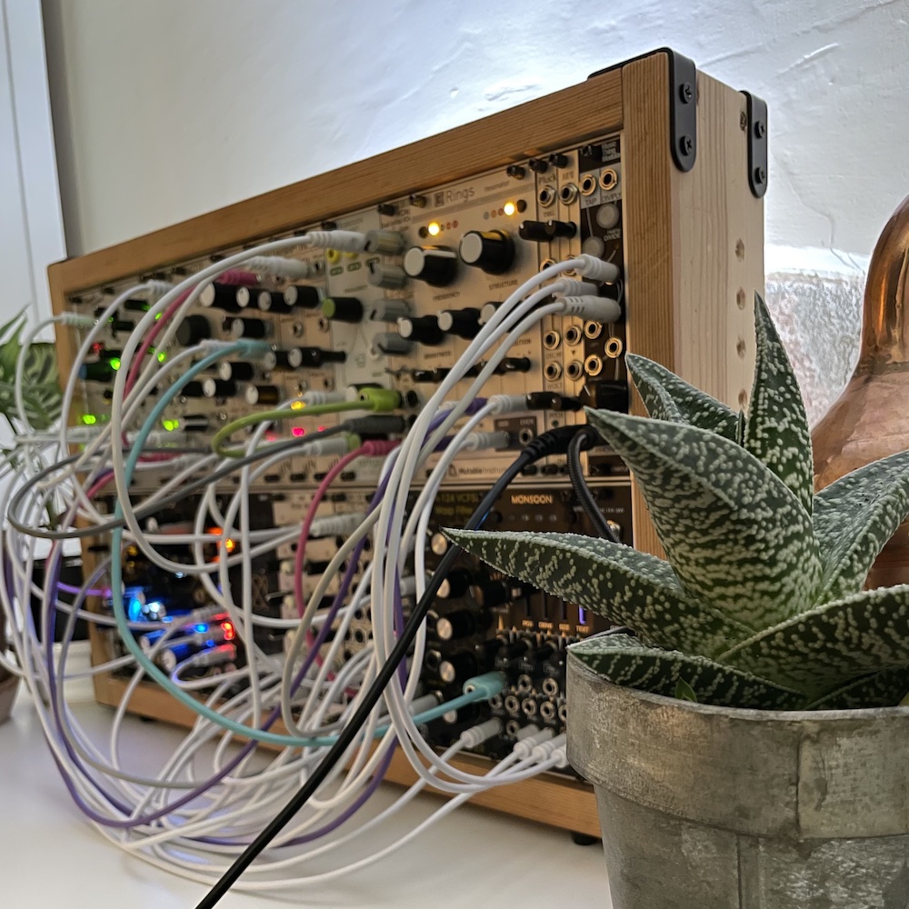 My growing eurorack modular synthesiser (complete with obligatory succulent)